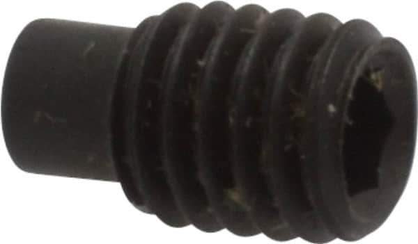 Value Collection - M5x0.80, 8mm OAL, Dog Point Set Screw - Grade 14.9 (45H) Alloy Steel, 2.5mm Key - USA Tool & Supply