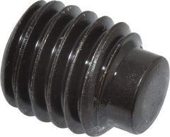 Value Collection - M10x1.50, 12mm OAL, Dog Point Set Screw - Grade 14.9 (45H) Alloy Steel, 5mm Key - USA Tool & Supply