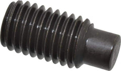 Value Collection - M12x1.75, 25mm OAL, Dog Point Set Screw - Grade 14.9 (45H) Alloy Steel, 6mm Key - USA Tool & Supply