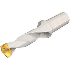 Iscar - 18 to 18.9mm Diam, 3xD, 54mm Max Depth, 25mm Shank Diam, 136.5mm OAL, Replaceable Tip Drill - IDK, IDM, IDN, IDP Insert, 18 Seat Size, DSM Toolholder, Series ChamDrillJet - USA Tool & Supply