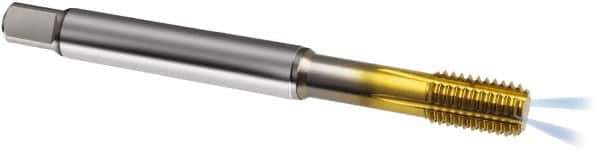 Guhring - M6x1.00 Metric 6HX D8/D9 Thread Limit Modified Bottoming Thread Forming Tap - Powdered Metal High Speed Steel, TiN Finish, 80mm OAL, Series 323 - USA Tool & Supply