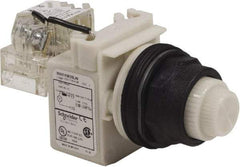 Schneider Electric - 120 V White Lens LED Press-to-Test Indicating Light - Round Lens, Screw Clamp Connector, Corrosion Resistant, Dust Resistant, Oil Resistant - USA Tool & Supply