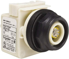 Schneider Electric - 120 V LED Indicating Light - Round Lens, Screw Clamp Connector, Corrosion Resistant, Dust Resistant, Oil Resistant - USA Tool & Supply
