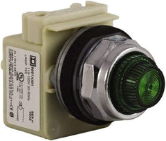 Schneider Electric - 120 VAC Green Lens Indicating Light - Screw Clamp Connector - USA Tool & Supply