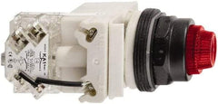 Schneider Electric - 24 V Red Lens LED Press-to-Test Indicating Light - Octagonal Lens, Screw Clamp Connector, Vibration Resistant - USA Tool & Supply