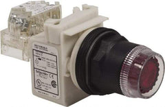 Schneider Electric - 30mm Mount Hole, Extended Straight, Pushbutton Switch with Contact Block - Red Pushbutton, Momentary (MO) - USA Tool & Supply