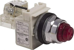 Schneider Electric - 120 VAC Red Lens LED Pilot Light - Round Lens, Screw Clamp Connector - USA Tool & Supply