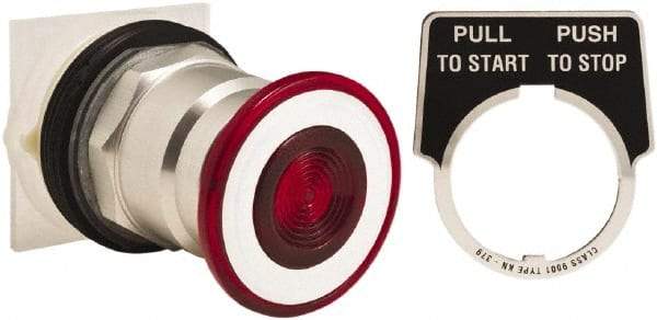 Schneider Electric - 30mm Mount Hole, Extended Straight, Pushbutton Switch Only - Round, Red Pushbutton, Maintained (MA), Momentary (MO), Weatherproof, Dust and Oil Resistant - USA Tool & Supply