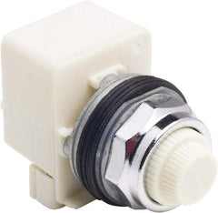 Schneider Electric - 120 V White Lens LED Indicating Light - Screw Clamp Connector - USA Tool & Supply