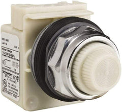 Schneider Electric - 120 VAC White Lens Indicating Light - Screw Clamp Connector - USA Tool & Supply