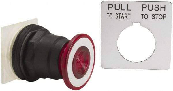Schneider Electric - 30mm Mount Hole, Extended Straight, Pushbutton Switch Only - Red Pushbutton, Maintained (MA), Momentary (MO) - USA Tool & Supply