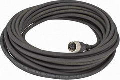 Telemecanique Sensors - 2 Amp, M12 Cable Straight with Female Prewired Connector Sensor and Receptacle - 30 VAC, 36 VDC, 10m Cable Length, IP67 Ingress Rating - USA Tool & Supply