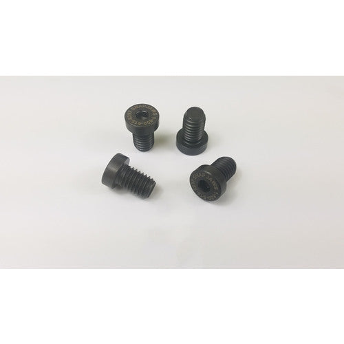 6″ Mount Screws 4 Pc. Per Pack - USA Tool & Supply