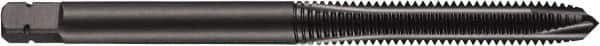 DORMER - 9/16-18 UNF, 3 Flute, Oxide Finish, Powdered Metal Spiral Point Tap - Plug Chamfer, Right Hand Thread, 3-19/32" OAL, 63/64" Thread Length, 0.429" Shank Diam, 3B Class of Fit, Series E036 - Exact Industrial Supply