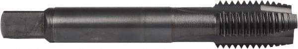 DORMER - M16x2.00 Metric Coarse, 3 Flute, Oxide Finish, Powdered Metal Spiral Point Tap - Plug Chamfer, Right Hand Thread, 3-13/16" OAL, 63/64" Thread Length, 0.48" Shank Diam, 6H Class of Fit, Series E006 - Exact Industrial Supply