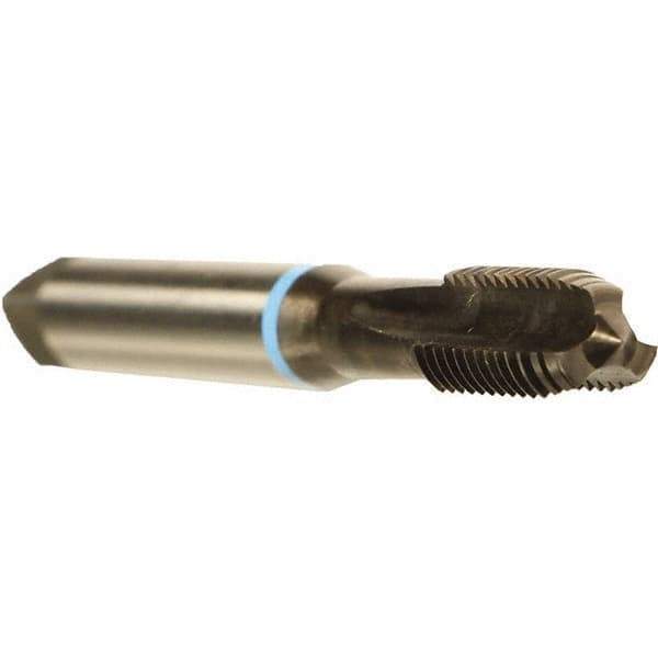 Emuge - 1/4-28 UNF 2BX 3 Flute Nitride Finish Cobalt Straight Flute Machine Tap - Modified Bottoming, Right Hand Thread, 2-1/2" OAL, 0.669" Thread Length, Oversize - Exact Industrial Supply