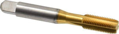 Balax - 3/8-24 UNF 4 Flute TiN Finish Cobalt Straight Flute Machine Tap - Bottoming, Right Hand Thread, 2-15/16" OAL, 0.98" Thread Length, H5 Limit, Oversize - Exact Industrial Supply