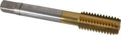 Balax - 1/2-13 UNC 2B 4 Flute TiN Finish Cobalt Straight Flute Machine Tap - Bottoming, Right Hand Thread, 3-3/8" OAL, 1" Thread Length, H5 Limit, Oversize - Exact Industrial Supply
