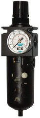 SandPIPER - 1/2" Pump, Filter/Regulator - For Use with Diaphragm Pumps - USA Tool & Supply