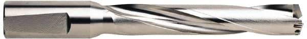 Guhring - 19 to 20mm Diam, 5xD, 100mm Max Depth, 20mm Shank Diam, 124mm Flute, 178mm OAL, Replaceable Tip Drill - RT 800 WP Insert, 1.2 Seat Size, Series 5243 - USA Tool & Supply