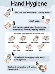 NMC - 18" Wide x 24" High Laminated Paper Hand Hygiene Information Poster - 0.01" Thick, English - USA Tool & Supply