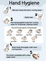 NMC - 18" Wide x 24" High Laminated Paper Hand Hygiene Information Poster - 0.01" Thick, English - USA Tool & Supply