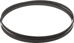 Starrett - 10 TPI, 7' 9" Long x 1/2" Wide x 0.02" Thick, Welded Band Saw Blade - Bi-Metal, Toothed Edge, Raker Tooth Set, Contour Cutting - USA Tool & Supply