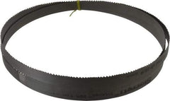 Starrett - 6 to 10 TPI, 8' 2-1/2" Long x 3/4" Wide x 0.035" Thick, Welded Band Saw Blade - Bi-Metal, Toothed Edge, Raker Tooth Set, Contour Cutting - USA Tool & Supply