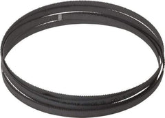 Starrett - 10 TPI, 12' 7" Long x 1/2" Wide x 0.035" Thick, Welded Band Saw Blade - Bi-Metal, Toothed Edge, Raker Tooth Set, Contour Cutting - USA Tool & Supply