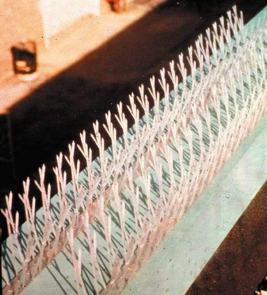 Bird-X - Plastic Bird Spikes - 4-1/2 Inch High x 2-1/4 Inch Wide x 25 Ft. Long x 0.5 Inch Thick - USA Tool & Supply
