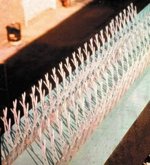 Bird-X - Plastic Bird Spikes - 4-1/2 Inch High x 2-1/4 Inch Wide x 25 Ft. Long x 0.5 Inch Thick - USA Tool & Supply