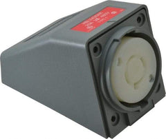 Hubbell Wiring Device-Kellems - 480 VAC, 20 Amp, L16-20R NEMA, Self Grounding Receptacle - 3 Poles, 4 Wire, Female End, Gray - USA Tool & Supply