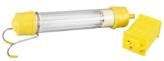 Conductix - 13 Watt, Electric, Fluorescent Portable Handheld Work Light - 1 Head - USA Tool & Supply