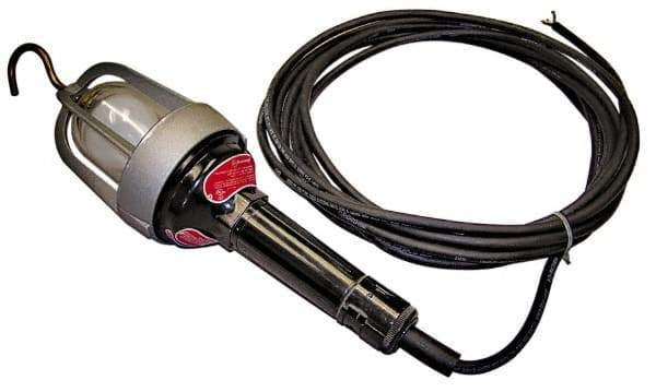 Made in USA - 100 Watt, Electric, Incandescent Portable Hook Work Light - 50' Cord, 1 Head, 900 Lumens - USA Tool & Supply