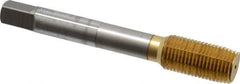 OSG - 1/2-20 UNF H5 Thread Limit Plug Thread Forming Tap - Cobalt, TiN Finish, 3-3/8" OAL, 1-21/32" Thread Length, Right Hand Thread, Series HY-PRO NRT - USA Tool & Supply