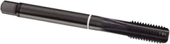 Guhring - 3/4-10 UNC, 5 Flute, Oxide Finish, Cobalt Spiral Point Tap - Modified Bottoming Chamfer, Right Hand Thread, 125mm OAL, 2B Class of Fit, Series 1984 - Exact Industrial Supply