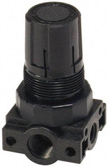 Parker - 3/8 NPT Port, Plastic Miniature Regulator - 0 to 60 psi Range, 150 Max psi Supply Pressure, 1/4" Gauge Port Thread, 2.06" Wide x 3.43" High - USA Tool & Supply