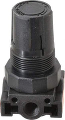 Parker - 1/4 NPT Port, Plastic Miniature Regulator - 0 to 125 psi Range, 150 Max psi Supply Pressure, 1/8" Gauge Port Thread, 1.6" Wide x 3.1" High - USA Tool & Supply