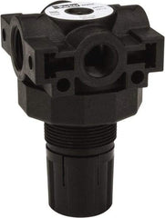 Parker - 3/8 NPT Port, Plastic Miniature Regulator - 0 to 25 psi Range, 150 Max psi Supply Pressure, 1/4" Gauge Port Thread, 2.06" Wide x 3.43" High - USA Tool & Supply