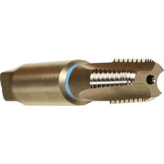 Emuge - Bright Finish, Cobalt, Interrupted Thread Pipe Tap - 2-7/16 Inch Overall Length, 1.06 Inch Thread Length, 0.42 Inch Square Size, Series KEG - USA Tool & Supply