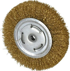 Value Collection - 6" OD, 5/8" Arbor Hole, Crimped Brass Wheel Brush - 1/2" Face Width, 1-1/8" Trim Length, 0.02" Filament Diam, 6,000 RPM - USA Tool & Supply