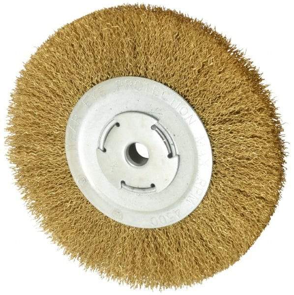 Value Collection - 8" OD, 5/8" Arbor Hole, Crimped Brass Wheel Brush - 1/2" Face Width, 1-3/4" Trim Length, 0.02" Filament Diam, 4,500 RPM - USA Tool & Supply