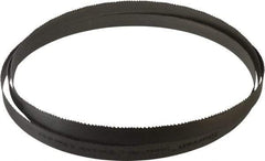 Starrett - 5 to 8 TPI, 12' Long x 1" Wide x 0.035" Thick, Welded Band Saw Blade - Bi-Metal, Toothed Edge, Modified Tooth Set, Contour Cutting - USA Tool & Supply