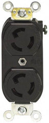 Leviton - 125 VAC, 15 Amp, 5-15R NEMA, Self Grounding Receptacle - 2 Poles, 3 Wire, Female End, Orange - USA Tool & Supply