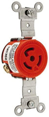 Leviton - 125 VAC, 15 Amp, 5-15R NEMA, Self Grounding Receptacle - 2 Poles, 3 Wire, Female End, Orange - USA Tool & Supply