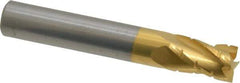Hertel - 5/16" Diam, 1/2" LOC, 4 Flute Solid Carbide Roughing Square End Mill - TiN Finish, 2" OAL, 5/16" Shank Diam, Single End, Centercutting - USA Tool & Supply