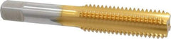 Made in USA - 5/8-11 UNC 3B 4 Flute TiN Finish High Speed Steel Straight Flute Standard Hand Tap - Bottoming, Right Hand Thread, 3-13/16" OAL, 1-13/16" Thread Length, H3 Limit, Oversize - Exact Industrial Supply