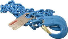 Pewag - 5' Long, 5,200 Lb Basket Capacity, 5,200 Lb Vertical Capacity, 1 Ply, Alloy Steel Web Sling - 4,500 Lb Choker Capacity, SSS Chain Sling, 9/32" Diam Chain, Blue, with Sling Hooks on Each End - USA Tool & Supply