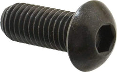 Holo-Krome - 1/2-13 UNC Hex Socket Drive, Button Screw - Alloy Steel, Black Oxide Finish, Fully Threaded, 1-1/4" Length Under Head - USA Tool & Supply