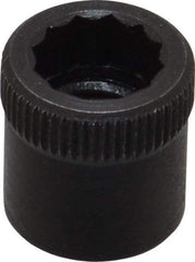 Holo-Krome - 5/16-24" Thread Uncoated Steel Allen Nut - 5/16" Diam, 5/16" Hex Key - USA Tool & Supply